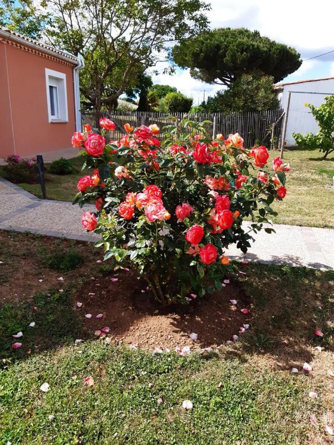 Appartement Independant A 10Min Des Plages Au Calme Proche O'Gliss Et O'Funparken Campagne La Jonchere Exterior photo